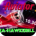 antigua hawksbill Apps (Tools & Injectors) Elite v1.1.0