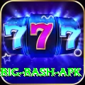 bbl big bash apk Max Pro v2.4.9