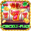 bet365 cricket - Live Premium