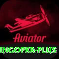 bingopkr VIP v1.6.4