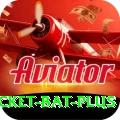 cricket bat Deluxe v5.2.0