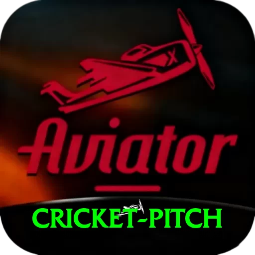 cricket pitch Pro Edition v4.9.0 - 2