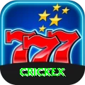 crickex VIP vv2.2.7