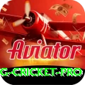 eng cricket Deluxe PK v5.7.0