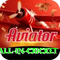 fastest ball in cricket Pro1 v1.4.0