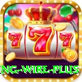 fishing wire Slots Mega v1.0.2