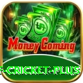 god of cricket Official v1.3.7