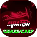 grass carp Apps (Tools & Injectors) Turbo v3.7.5