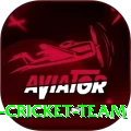 hong kong cricket team Deluxe Pro v2.3.4
