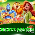 india cricket match Pro Edition v5.3.0