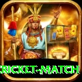 india pakistan cricket match Deluxe v5.8.5