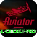 international cricket Prime Gaming App
