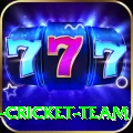 ireland cricket team Pro Edition v3.5.1