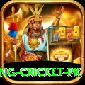 make money betting cricket pk VIP Pro v2.8.3