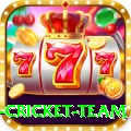 new zealand cricket team Games (Casino & Earning) Premium v5.0.3