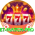 next cricket match Game Deluxe v3.1.7