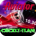 pakistan women cricket team Turbo Pro v1.9.4