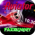 pakrummy Apps (Tools & Injectors) Elite v2.5.4