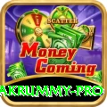 pakrummy Money Premium v2.4.5