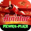 pkwin Apps (Tools & Injectors) Plus vv4.5.1