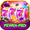 pkwin Plus v2.2.4