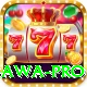 raj bawa Pro Jackpot