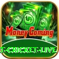 smart cricket live Deluxe Pro v3.1.5