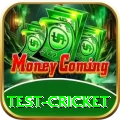 test cricket Deluxe v4.4.0
