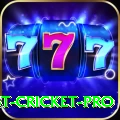 test cricket Casino Official v2.9.4