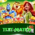 test match Plus Pro v1.5.6