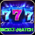 to day cricket match Elite Pro v1.8.9