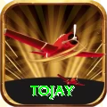tojay VIP v5.8.8