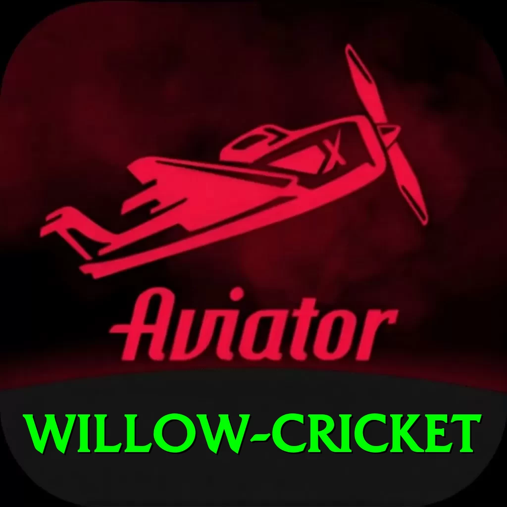 willow cricket VIP - 2