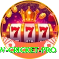 willow cricket Live Extreme v2.5.4